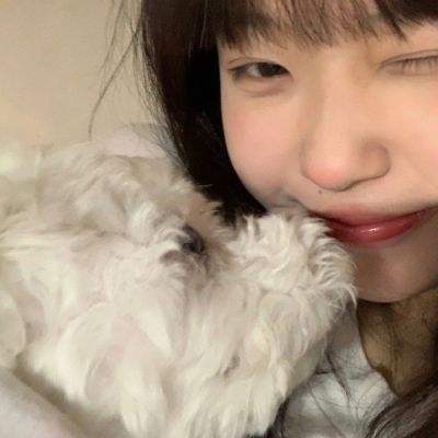 狂岚忍者破解版下载
